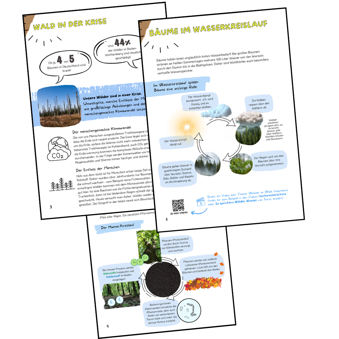 Arbeitsblätter aus WaldWissen